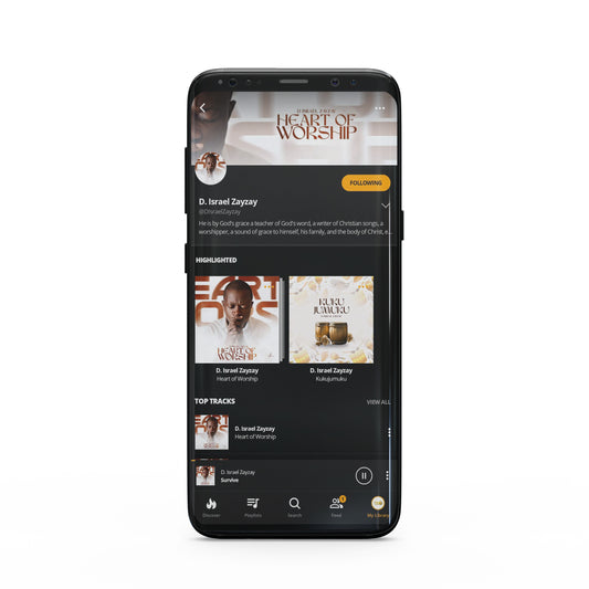 FN Music Distribution Services